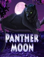 แทง บอล ฟรี 1000 เล่น เกม สล็อต pg ที่ต้องลอง