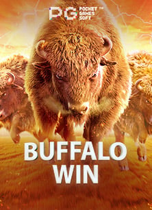 ประสบการณ์ยู ส ทดลอง xoroma slotxo ที่คุณต้องลอง